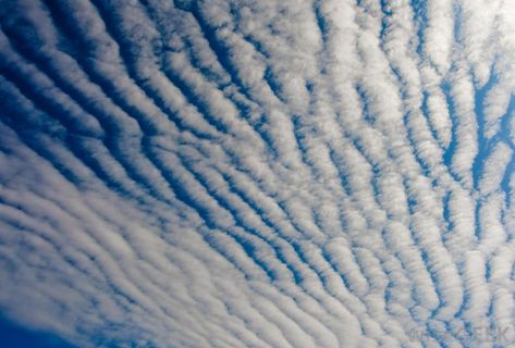 Cirrocumulus Clouds Nature, Cirrocumulus Cloud, Nimbostratus Clouds, Stratus Clouds, Cirrostratus Clouds, Kinds Of Clouds, Types Of Clouds, Cumulonimbus Cloud, Cirrus Cloud