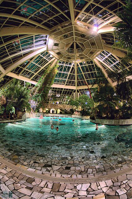 me gusta la coombinacion de un invernadero con una alberca.                                                                                                                                                                                 Más Greenhouse Dome, Dome Greenhouse, Piscina Interior, Indoor Swimming Pool, Luxury Pools, Christmas Bathroom, Dream Pools, Indoor Swimming, Pool Design