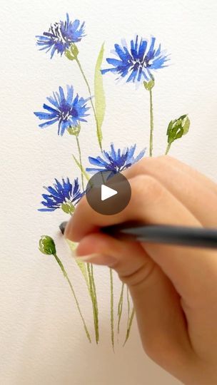 Watercolour cornflower painting 💙 #watercolor #watercolour #painting #easyart #simpleart #watercolorflowers #art #relaxingart #cornflower #blueflowers | Bliss Of Colours | Benson Boone · Beautiful Things (Piano Instrumental) Cornflower Watercolor Painting, Water Colour Painting Watercolour, Learn Watercolor Painting, Watercolor Flowers Tutorial, Relaxing Art, Learn Watercolor, Loose Watercolor, Illustration Botanique, Watercolour Tutorials