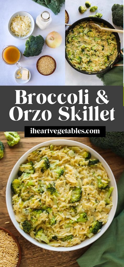 This Broccoli and Orzo Skillet is a delicious one-pan dinner that cooks in just 20 minutes! It's creamy, cheesy, and loaded with vegetables for a healthy, filling meal. Broccoli Main Dish, Dinners With Vegetables Healthy, Quick Orzo Recipes, Orzo Vegetarian, Vegetarian Recipes Broccoli, Healthy Dinner Broccoli, Orzo Broccoli Salad, Lunch Ideas With Broccoli, Meals With Broccoli And Cauliflower