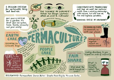 What is permaculture? - notes from the Permaculture Living course - Milkwood: permaculture courses, skills + stories Food Forest Garden, Permaculture Principles, Guerrilla Gardening, Intentional Community, Solar Punk, How We Met, Permaculture Gardening, Permaculture Design, Community Garden