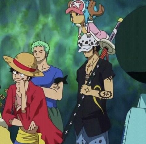 One Piece Characters, رورونوا زورو, Ace And Luffy, One Piece Meme, One Piece Funny, Trafalgar Law, One Piece Drawing, One Piece Images, One Piece Pictures