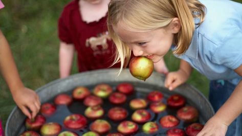 Bob For Apples, Apple Bobbing, Fall Party Games, Pumpkin Carving Tools, Origin Of Halloween, Bobbing For Apples, Halloween Traditions, Harvest Party, Kids Party Games