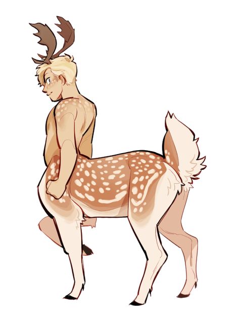 Centaur deer boy Animal Centaurs, Dear Centaur, Feline Centaur, Deer Centaur Oc, Deer Hybrid Oc, Cervitaur Male, Centaur Types, Half Deer Half Human, Goat Centaur