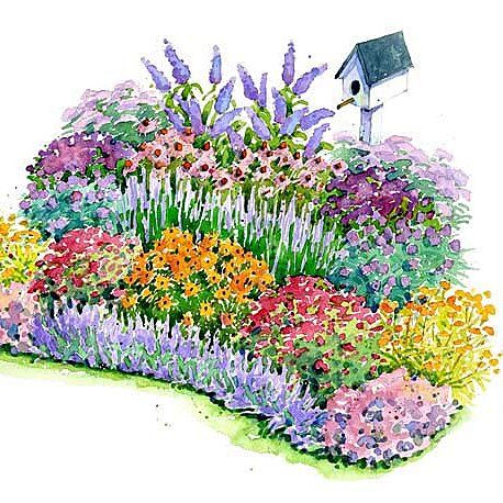 Bird And Butterfly Garden, Flower Garden Plans, Butterfly Garden Design, Perennial Flower, Garden Plan, Hummingbird Garden, Bee Garden, Flower Yellow, Garden Plans