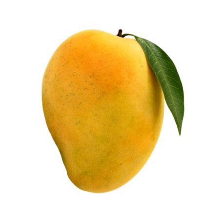 Mango Pic, Mango Picture, Mango Tattoo, Mango Png, Mango Photography, Mango Fruta, Mango Photo, Mango Images, Fruits Photography