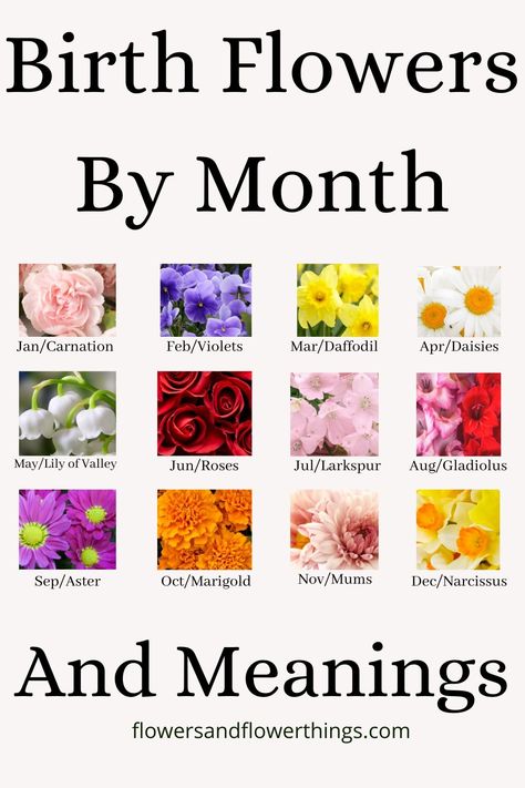 Learn about the birth flowers by month including for January, February, March, April, May, June, July, August, Septemebr, October, Novermber, and December.  The meanings associated with each of the flowers. #birthflowers #flowermeaning Gemini Flower Tattoo Birth Month, Birth Colors By Month, Types Of Flowers And Meanings, Types Of Flowers Tattoo, Different Flowers And Their Meanings, Birth Flowers By Month, Flower By Month, April Tattoos, Birth Flower Chart