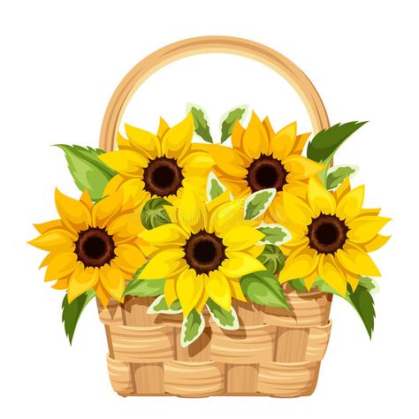 Illustration about Vector illustration of a basket with sunflowers isolated on a white background. Illustration of foliage, blossom, flower - 68436124 Clay Wall Art, Vector Flowers, Flower Basket, Fall Flowers, Art Boards, Vector Art, Stock Illustration, White Background, Stock Vector