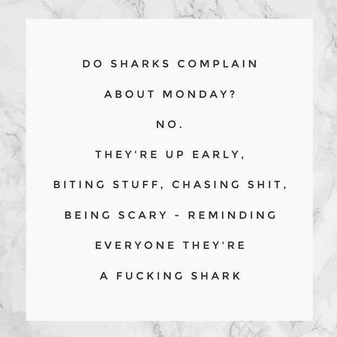 Be a shark Be A Shark Quote, Shark Quotes, Work Quote, Positivity Motivation, Work Motivational Quotes, Growth Quotes, Work Ethic, Quote Wall, Work Quotes