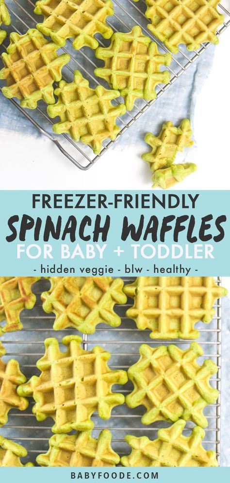 Healthy Breakfast For One Year Old, Spinach Waffles Healthy, Healthy Grab N Go Breakfast, Breakfast For Infants, Spinach Waffles For Baby, Blw Recipes Breakfast, Baby Led Breakfast Ideas, Babyled Weaning Recipe, Baby Waffles Recipe