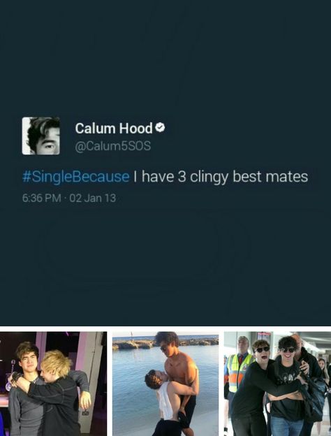 Saw this and couldn't not add it Gifts For Your Crush, For Your Crush, Ship Cake, 5sos Funny, 5sos Memes, Calum Thomas Hood, Five Seconds Of Summer, Band Memes, Michael Clifford