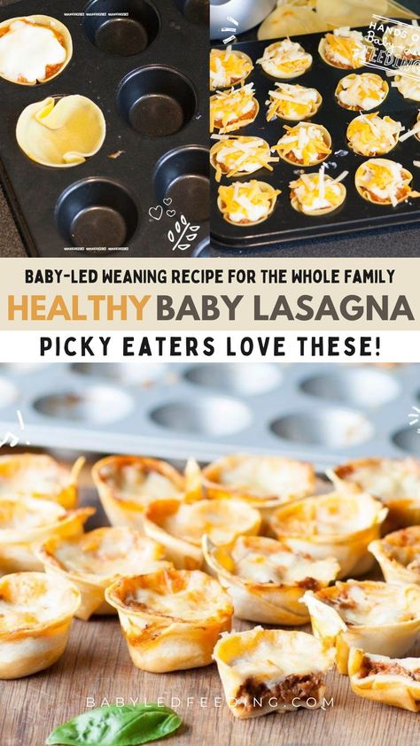 This easy baby lasagna is packed with the goodness of vegetables. It is nourishing, comforting and delicious for the picky eater kids. Also this lasagna works wonderfully for your little toddler who is starting to try more “grown up” food like veggies (and not only pureed baby food!). Creative Toddler Meals, Toddler Wraps Lunch, Toddler Freezer Food, Low Carb Toddler Meals, Make Ahead Toddler Lunches, Healthy Family Meals Picky Eaters, Toddlers Food Ideas, Meal Prep For One Year Old, Healthy Picky Eater Meals