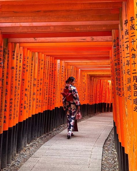 Fushimi Inari Shrine Photography, Japan Portrait Photography, Japan Photo Inspiration, Japan Travel Photos, Kyoto Pictures Ideas, Japan Travel Ideas, Kyoto Photo Ideas, Japan Vision Board, Japan Picture Ideas