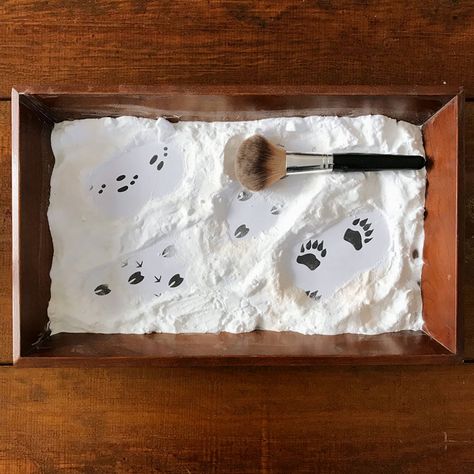 Five winter-themed Montessori activity trays to help your child develop and practice basic life skills this season. | from barley & birch Forest Animal Sensory Activities, Skunk Activities For Preschool, Kindergarten Activities Winter, Wolf Activities Preschool, Hibernation Kindergarten Activities, Winter Practical Life Montessori, Were Going On A Bear Hunt Activities, Winter Nature Activities, Winter Montessori Activities