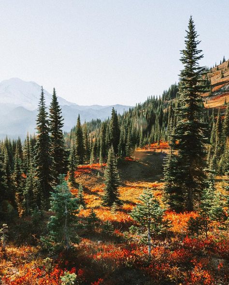 Sky Frost (@skyfrost) • Instagram photos and videos Washington State Fall, Leavenworth Oktoberfest, Rainy Lake, Sky Pond Rocky Mountain National Park, Wonderland Trail, Autumn Tones, Pacific Northwest Travel, Washington State Travel, Cascade National Park