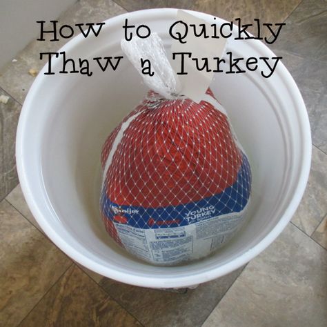 How to Quickly Thaw a Turkey Thaw Turkey In Water, Turkey Thaw Time, Defrosting Turkey, Cooking A Frozen Turkey, Quick Turkey, Thawing Turkey, Frozen Turkey, Thanksgiving Dinner Recipes, Thanksgiving Cooking