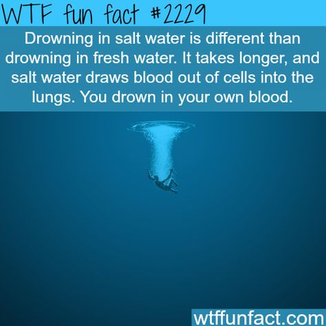 Drowning in salt water vs fresh water - WTF fun facts Creepy Facts, Wow Facts, Science Facts, A Silent Voice, True Facts, The More You Know, E Card, Salt And Water, Health Facts