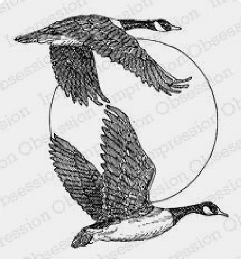 Geese Flying Drawing, Canadian Geese Tattoo, Flying Geese Tattoo, Flying Goose Tattoo, Lapwing Tattoo, Wild Geese Tattoo, Geese Tattoo, Goose Drawing, Goose Tattoo