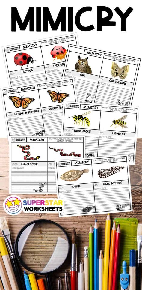 Learning about animal mimicry is an exciting opportunity for your students! Creation is filled with numerous examples of microevolution and adaptations within a species. Use these free printable mimicry worksheets to encourage your students to research these fascinating creatures! Animal Mimicry, Animal Adaptations Activities, Adaptations Science, Adaptations Activities, Simple Machines Activities, Biomimicry Examples, Zoo Activities, Animal Lessons, Animal Classification