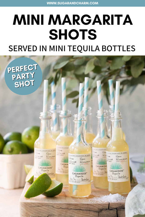 Looking for a fun party idea this summer?  Try these mini margarita shots! Such a cute party idea. Serve them in mini tequila bottles filled with a delicious blend of tequila, lime juice, orange juice, and agave. Tequila Tasting Party Ideas, Mini Patron Bottle Drinks, Mini Casamigos Bottles, Mini Tacos And Tequila, Mini Tequila Bottles Gift, Mini Patron Bottles Tequila Shots, Tacos And Tequila Party, Margarita Shots, Mini Tequila Bottles