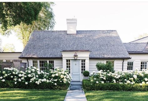 Hydrangea Landscaping, Glam Pad, Front Yard Garden Design, Farmhouse Landscaping, Cape House, Front Landscaping, Front House Landscaping, Home Landscaping, Front Yard Garden