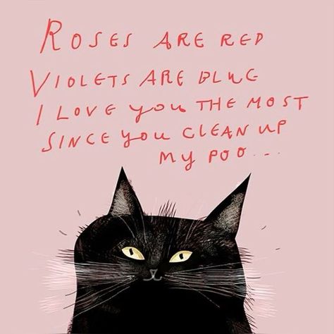 Funny Valentine’s Day Cards, Cat Humor Funny, Funny Cat Quotes, Cat Quote, Cat Obsession, Dancing Cat, Black Cat Art, Cat Cards, Cat Quotes