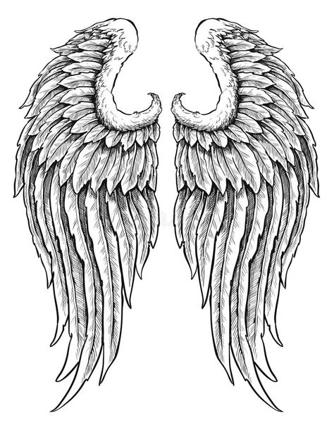 Wing Tattoos, White Angel Wings Tattoo, Black And White Angel Wings, Angel Wing Tattoos, Alas Tattoo, Angel Wings Drawing, Wing Tattoo Designs, White Angel Wings, Wings Drawing