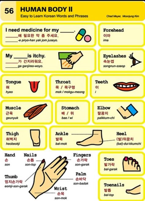 Korean Words And Phrases, Korean Vocab, Korean Grammar, Learn Korean Alphabet, Korean Vocabulary, Learn Hangul, Materi Bahasa Jepang, Korean Study, Learn Korea