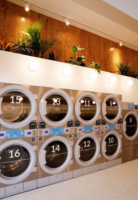 Laundry Business Design, Business Design Ideas, Laundromat Design, Coin Laundromat, Laundromat Business, Dry Cleaning Business, Self Service Laundry, Laundry Business, Coin Laundry