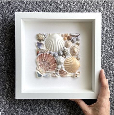 How To Display Shells From The Beach, Seashell Display Ideas, Auger Shell, Shell Artwork, Seashell Art Diy, Art Coquillage, Seashell Projects, Seashell Wall Art, Shells Diy