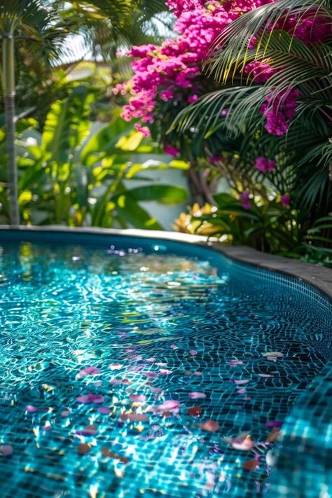 Privacy Ideas for Pools: Enhance Your Oasis Dream Backyards, Insane Pools, Landscaping Around Pool, Dining Room Colour Schemes, Privacy Ideas, Small Urban Garden, Palm Beach Gardens Florida, Easy Landscape, Shell Yeah