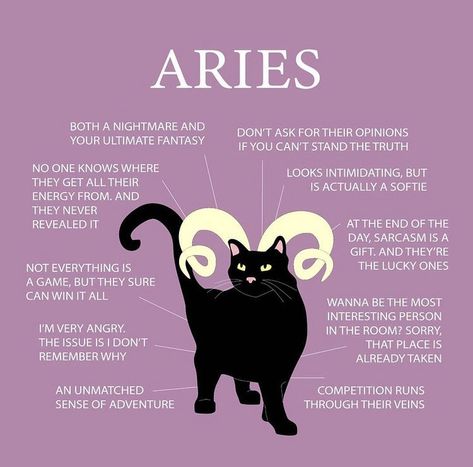 Aries Body Type, Aries Core, Aries Journal, Aires Zodiac, Aries Vibes, Aries Things, April Aries, Aries Sun, Astrology Signs Aries