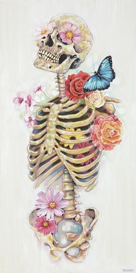 Skeleton And Flowers, Bloom Painting, Medical Artwork, 500 Dollars, Skeleton Flower, Skeleton Drawings, Biology Art, Skull Art Drawing, Cocoppa Wallpaper