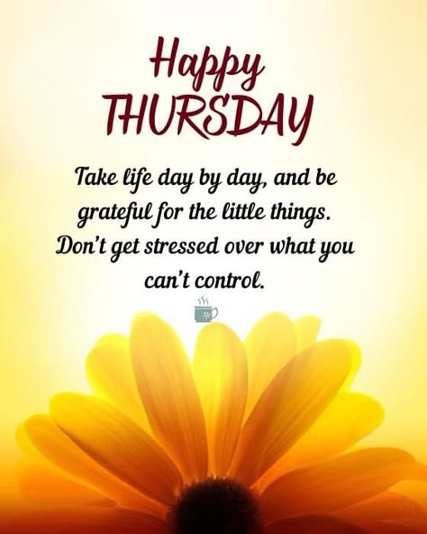 Bless Thursday, Greetings English, Thursday Wishes, Monday Morning Wishes, Blessed Thursday, Thursday Morning Quotes, Happy Thursday Morning, Beautiful Morning Pictures, Happy Thursday Images