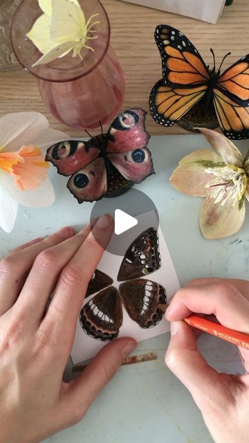 Butterfly Tutorial, Well Pictures, Watercolour Pencils, Diy Butterfly, Paper Butterflies, Paper Butterfly, Crepe Paper Flowers, Watercolour Paper, Paper Artist