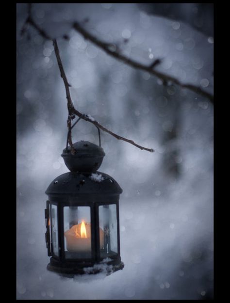 evening snow Winter Magic, Winter Beauty, Winter Wonder, Winter Night, Winter Solstice, Baby Cold, Candle Lanterns, Winter Scenes, Lantern Lights