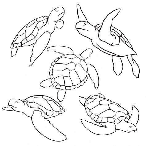 Premium Vector | Set of hand drawn turtle Cute Turtle Drawings, Widder Tattoo, Turtle Sketch, Sea Turtle Drawing, Turtle Quilt, Turtle Drawing, Sea Turtle Art, Turtle Tattoo, Turtle Painting