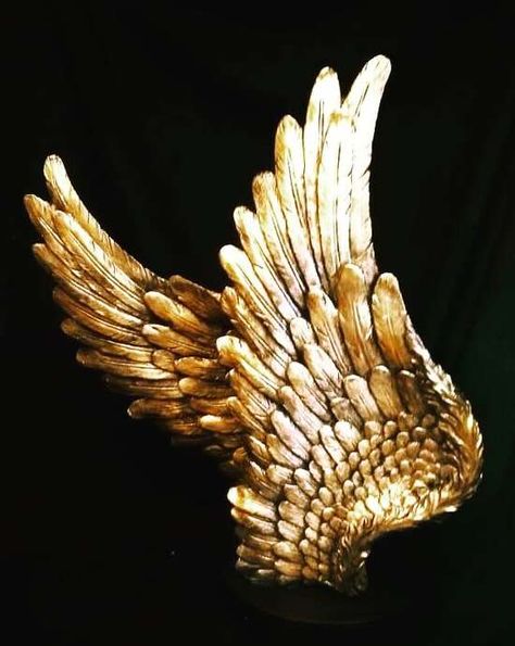 Gold Aesthetics, Gold Pictures, Golden Bird, Aesthetic Gold, Golden Wings, Angel Artwork, Angel Aesthetic, Book Writing Inspiration, Gold Aesthetic