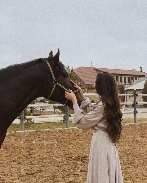 Aesthetic Horse, Photography Horse, Horse Aesthetic, Aso Ebi, Horse Photography, Bang Chan, Horse Girl, A Horse, Photography