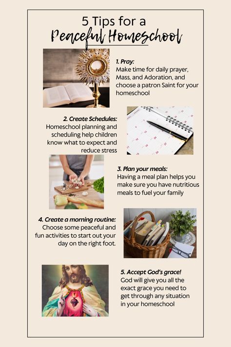 In this post, Alex Resch gives 5 Catholic homeschool tips for a peaceful start to the new homeschool year! She has tips for prayers for your homeschool, homeschool tips for beginners, how to create your homeschool schedule, and tips for a morning basket routine. Examination Of Conscience, Classical Homeschool, Family Read Alouds, High School Science Teacher, Morning Basket, Catholic Homeschool, Homeschooling Tips, Homeschool Tips, Kids Planner