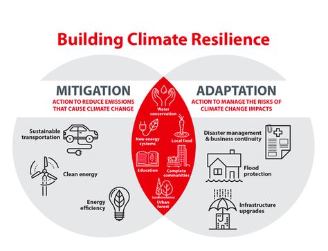 This is what climate justice and resiliency really means, a good combination of mitigation and adaptation. Change Art, Climate Adaptation, Falling Behind, Carbon Sequestration, Realistic Goals, Climate Justice, Infographic Poster, Info Graphics, Sustainable City