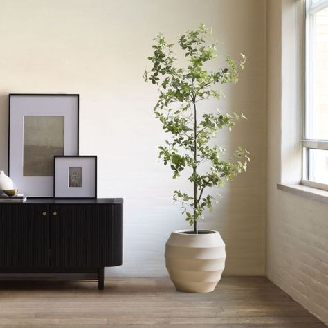 18 Fake Plants That Totally Transform Any Room Black Olive Tree, West Elm Kids, Fake Trees, Shower Columns, Floor Plants, Faux Tree, Iron Wire, Light And Space, Fake Plants