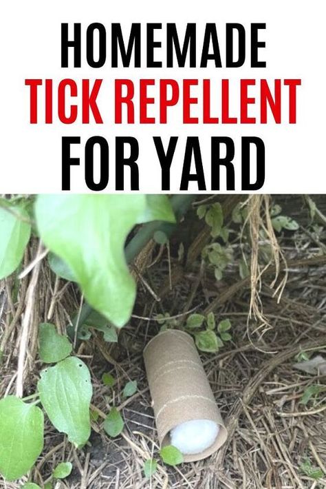 Easy Homemade Natural Tick Killer for a Lawn or backyard. Enjoy your outdoor space and protect your dog and yourself from backyard ticks. How To Keep Ticks Out Of Your Yard, Natural Tick Repellent For Dogs, How To Get Rid Of Ticks In Yard, Diy Tick Repellent For Dogs, Natural Tick Repellent For Yard, Diy Tick Repellent For Humans, Tick Control For Yard, Tick Spray For Yard, Tick Repellent For Humans