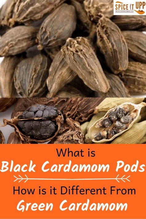 What Is Black Cardamom Pods : Uses, Benefits and Substitutes - Spiceitupp Cardamom Benefits, Cardamom Plant, Female Youtubers, Essential Spices, Indian Spice Box, Cardamom Recipe, Black Cardamom, List Of Spices, Cardamom Pods