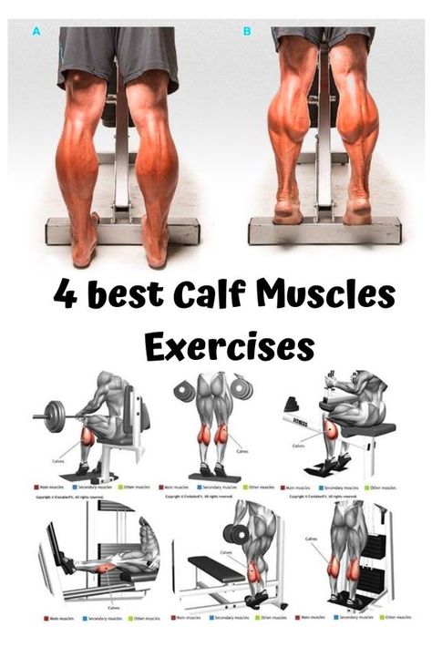 Calf Muscle Workout, Muscles Exercises, Calf Training, Leg Workouts For Men, Leg Workouts Gym, Best Leg Workout, Calf Exercises, Gym Antrenmanları, Bodybuilding Workout Plan