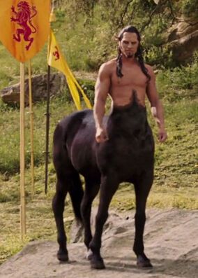 Centaur | The Chronicles of Narnia Wiki | Fandom English Farm, The Horse, Narnia, A Horse, Fan, Animals, Black