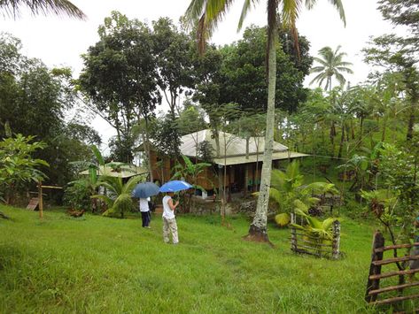 CALINAN FOR SALE: Lot / Land / Farm Farm Lot Philippines, Davao Del Sur, Palace Resorts, Davao City, Beautiful Cottages, Davao, Residential House, Spring Water, Mountain Resort