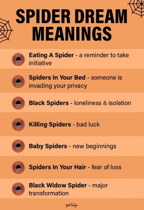 Spider Dream Meanings & What Different Types Of Spiders Symbolize | YourTango Dream Interpretation Symbols, Killing Spiders, Facts About Dreams, Types Of Spiders, Types Of Dreams, Get Rid Of Spiders, Understanding Dreams, Dream Dictionary, Black Widow Spider