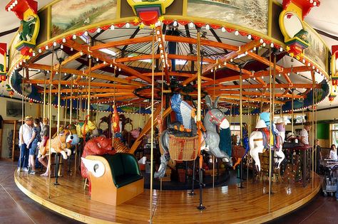 The Carousel Of Happiness, Nederland CO ~ each animal carved by Scott Harrison on a restored 1910 Charles Looff carousel. Look at the jumping Saint on the left! Love! Bishops Castle Colorado, Bishop Castle, Riverview Park, Lincoln Park Zoo, Small Town Romance, Merry Go Round, Carousel Horses, Summer Bucket Lists, Real Estate Services