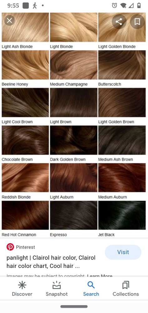 Clairol Hair Color Brunette Hair Color Swatches, Light Gold Brown Hair, Light Hazelnut Brown Hair, Clairol Hair Color Chart, Brown Box Dye, Latte Hair Color, Ion Hair Color Chart, Types Of Brown Hair, Ash Brown Hair Dye